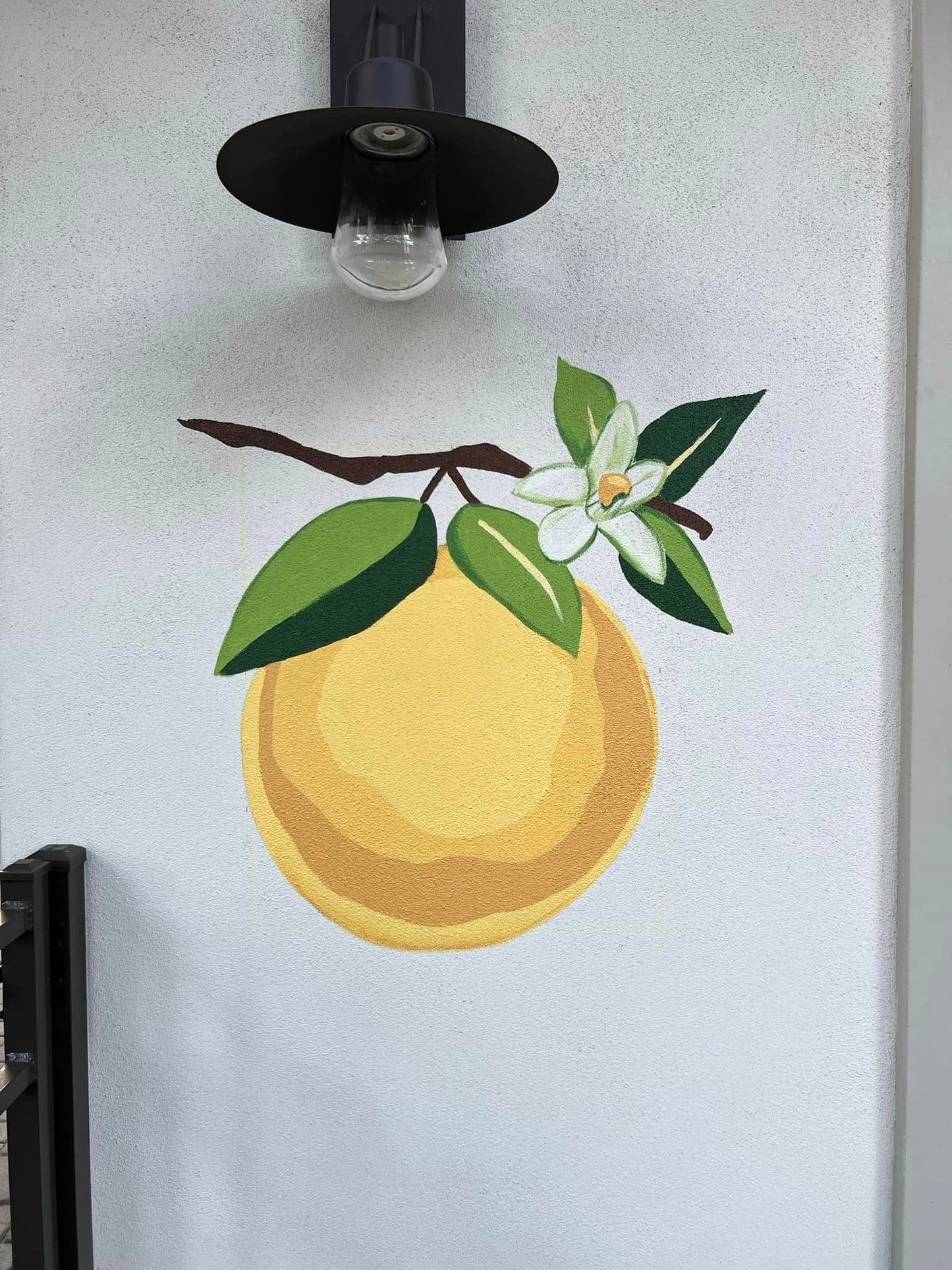 Grapefruit Sticker