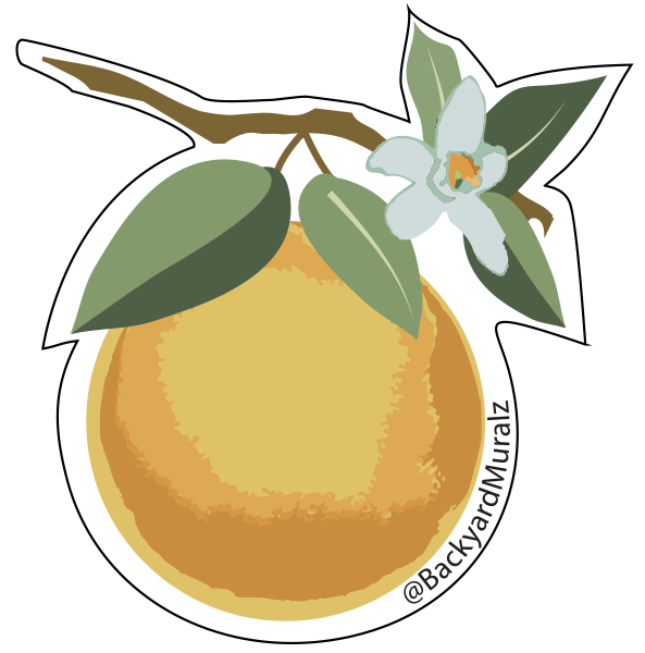 Grapefruit Sticker